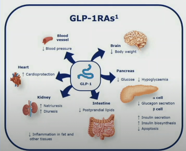 glp-1 weight management rockville md BodyTech: Weight Loss, Health, & GLP-1 Nutritional Support (@idealbodytech)  · Rockville, MD